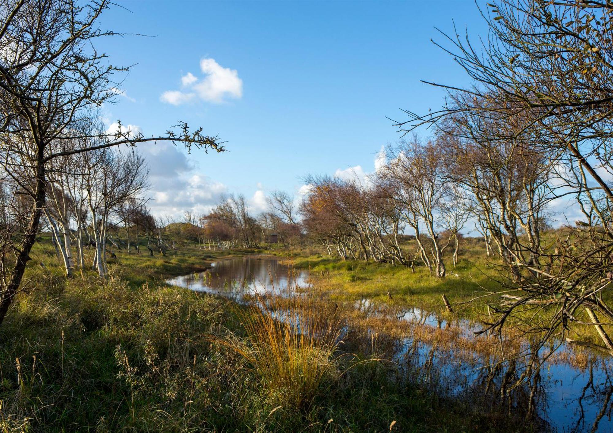 Dw Castricum Exterior foto